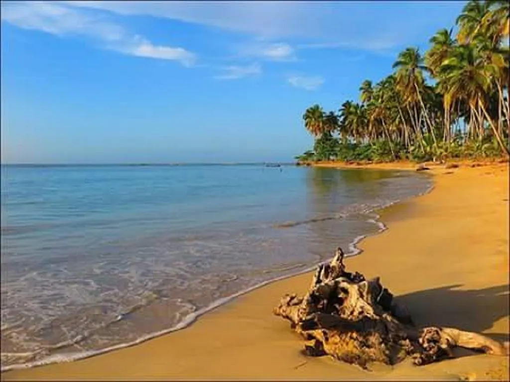 Florenzo Villa II Las Terrenas